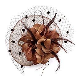 Auranso Netting Mesh Headband Big Flowers Fascinator Hat Coffee1 One Size